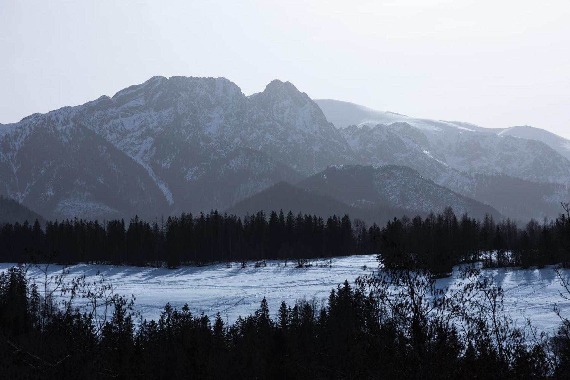 Apartamenty Bachledzki Wierch Zakopane Rum bild